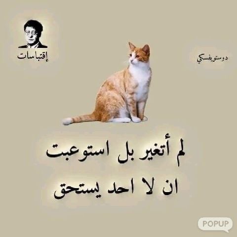 EyhabLotfyHana123