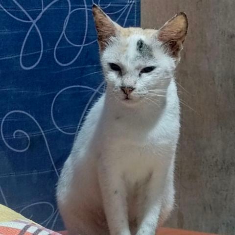 Daniiiiiiiii