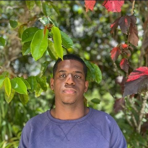 Estarlin