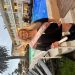 Butterfly543 is Single in HUNTINGTON BEACH, California