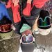 NewEnglandGal is Single in Derby Line, Vermont, 1