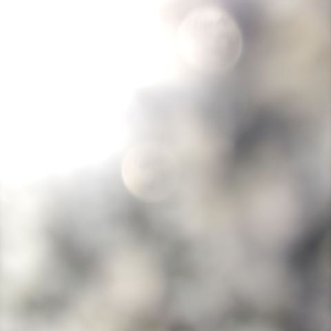 Jojorjhn
