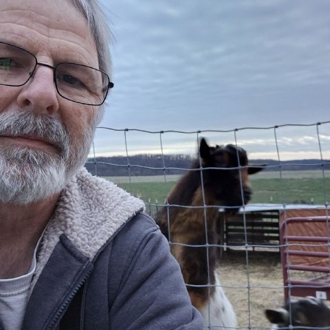 Alant is Single in Nelson, Missouri, 7