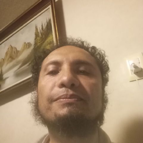 Bernardo979313