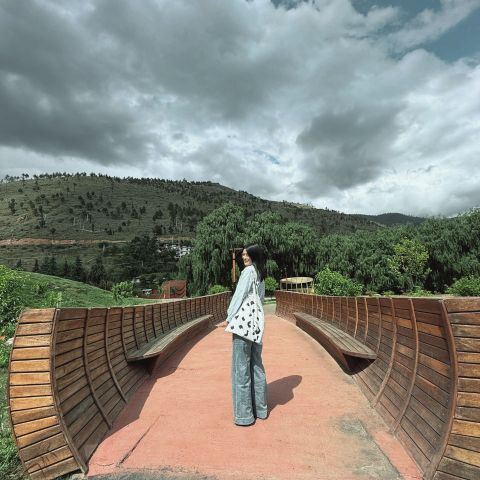 Sonam77 is Single in Thimphu, Paro, 2