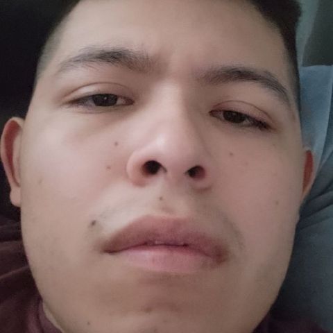 Jakob71