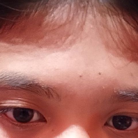 zylleEcylle