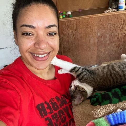 Mzpalmer