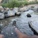 wrestlingG is Single in Ontario, Oregon