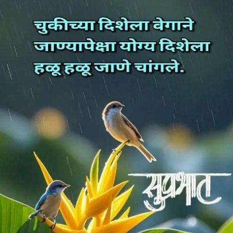 Devd127