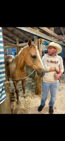 ChristianLeader is Single in AUBURN HILLS, Michigan, 9
