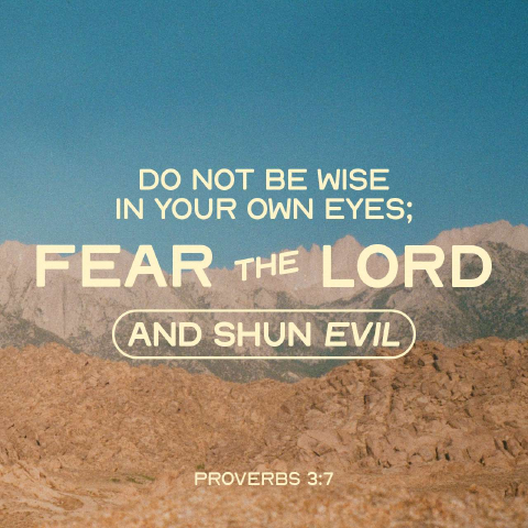 MissN96 is Single in Nottingham, England, 2