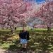 MariposaAzul05 is Single in Bloomfield, New Jersey, 2
