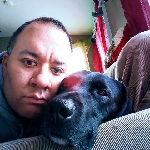 JasonBason4 is Single in Spaniards Bay, Newfoundland and Labrador, 3