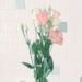 Joelle333 is Single in Barangaroo, New South Wales