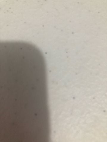 pinayph