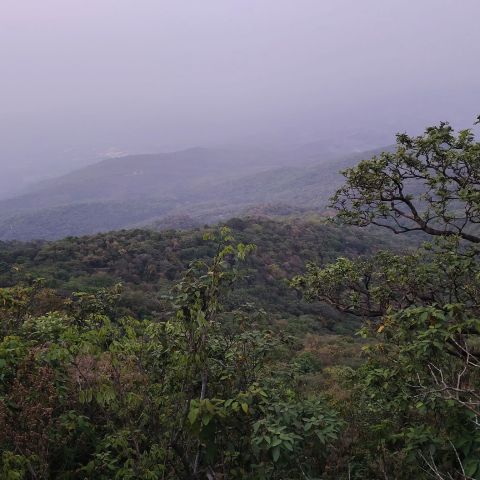 Subhash3515