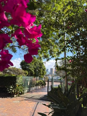 wonder444 is Single in Barangaroo, New South Wales, 2