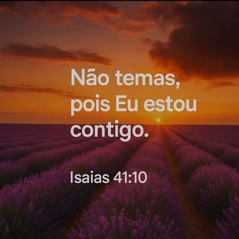 Gracemaciel56