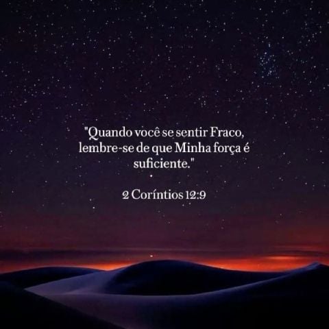 Gracemaciel56