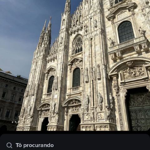 Rosi202547