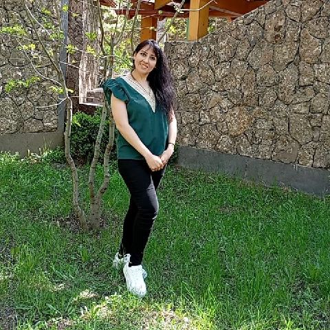 Didy300
