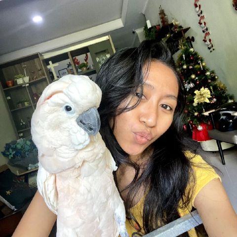 GloriadeQ is Single in Ambon, Maluku, 7