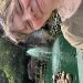 Tlm773 is Single in CLARKSTON, Michigan, 3