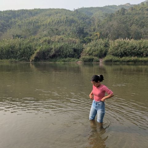 Poin