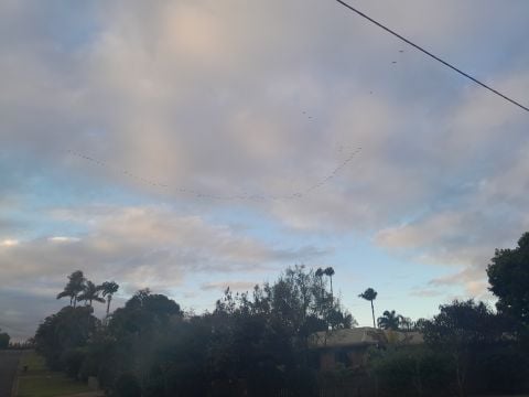 LaraJanePersson24