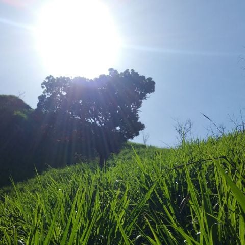 Kalexndr