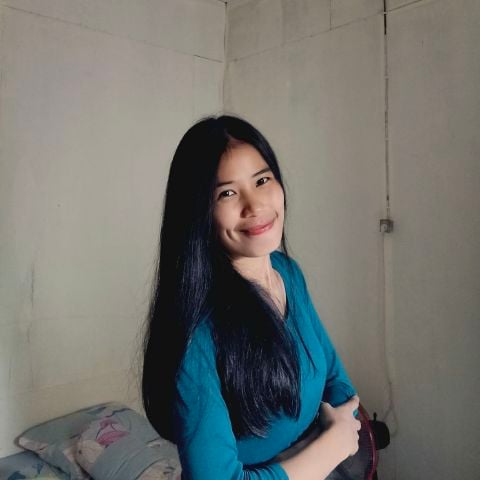 Lina234x