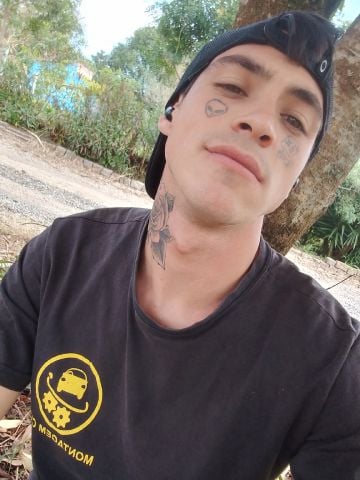 Marcelocust