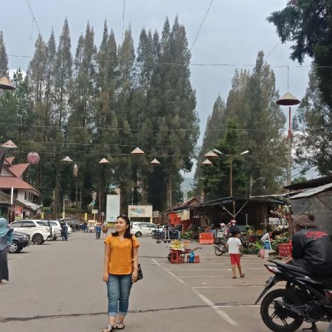 Novivwoi