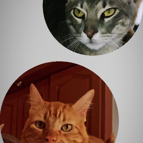 Sergio9903 is Single in Bucaramanga, Santander, 2