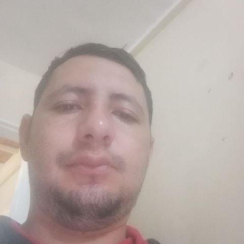 Yoeloei