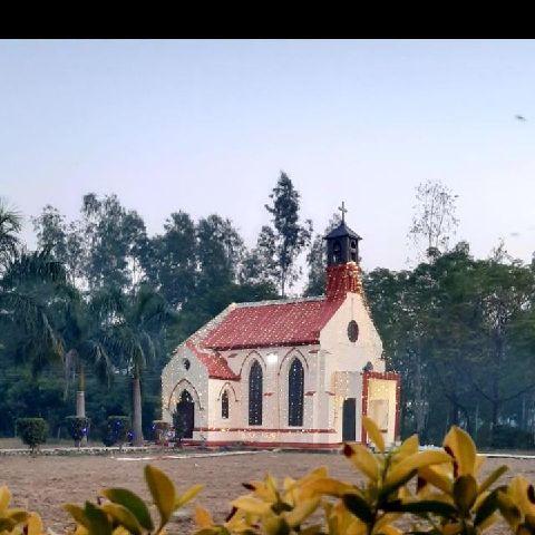 Jasmeenmattu