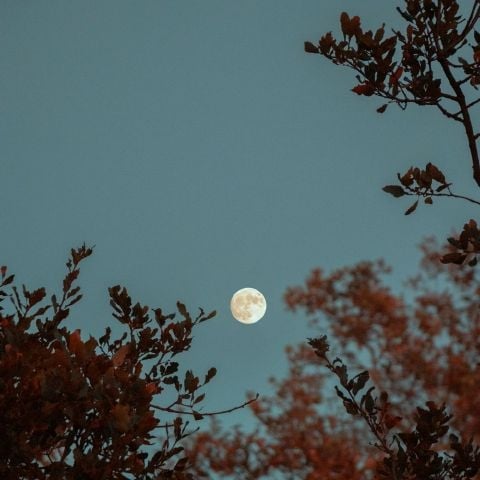 Moon1819