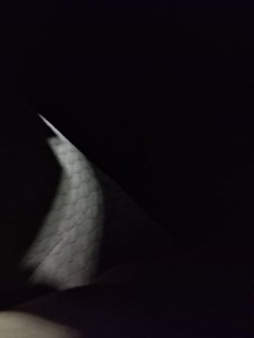 Jeremy_87