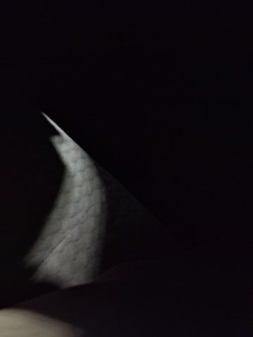 Jeremy_87