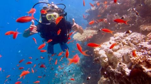 SamIm51 is Single in Montclair, California, 8