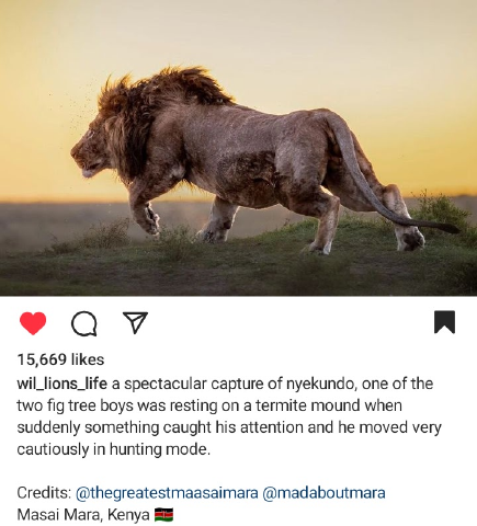 William2425