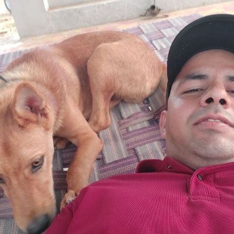 BharatSmith is Single in Jaipur City, Rajasthan, 2