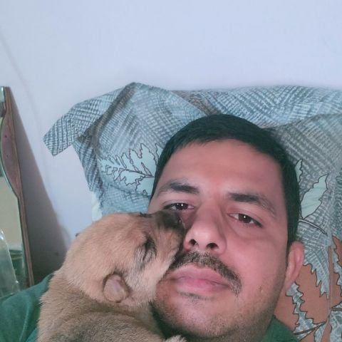 BharatSmith is Single in Jaipur City, Rajasthan, 4