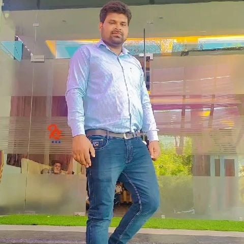 Gaurs