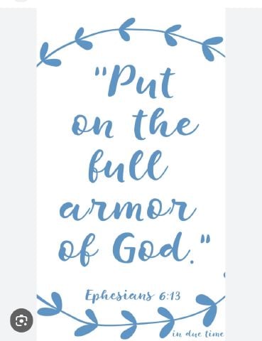 Zorra is Single in Djibouti, Wyoming, 2