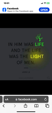 Zorra is Single in Djibouti, Wyoming, 3