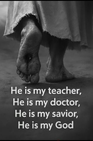 Zorra is Single in Djibouti, Wyoming, 4