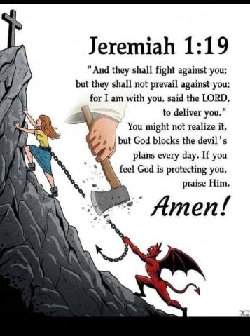 Zorra is Single in Djibouti, Wyoming, 5