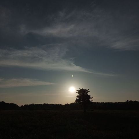 Danaya09